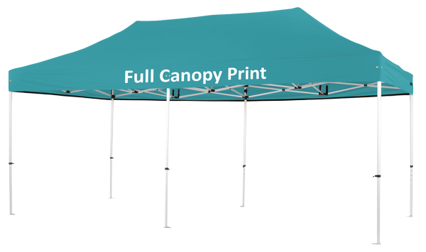 Altegra Pro Lite custom 3x6m marquee - image displaying all panels printed in teal.