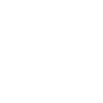 Altegra 40mm hexagonal marquees frame icon in white
