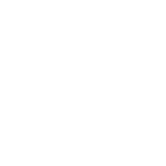 Altegra Geo42 42mm icon